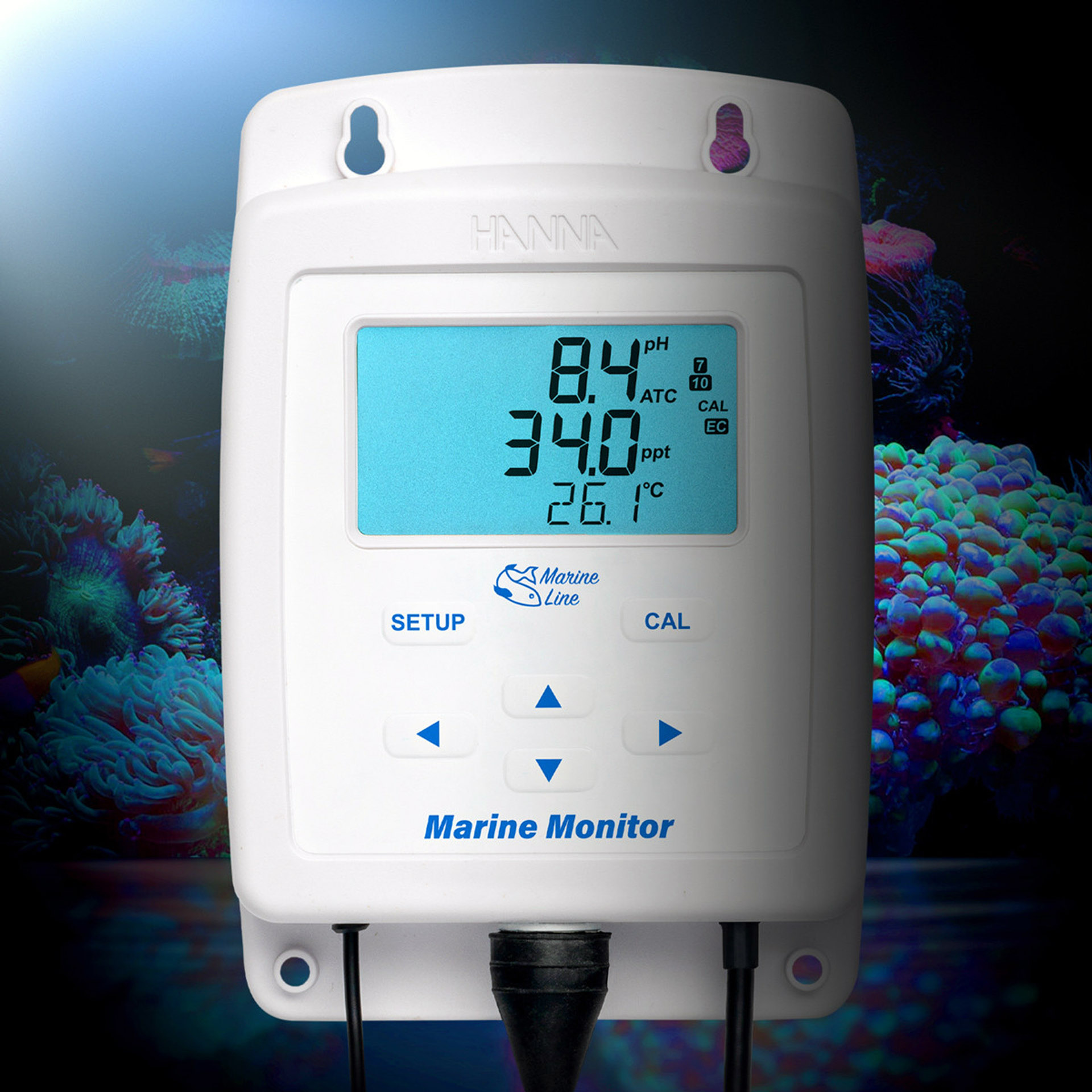 Monitor HI981520 für pH, Salzgehalt und Temperatur in Meerwasserquarien Monitor HI981520 für pH, Salzgehalt und Temperatur in Meerwasserquarien