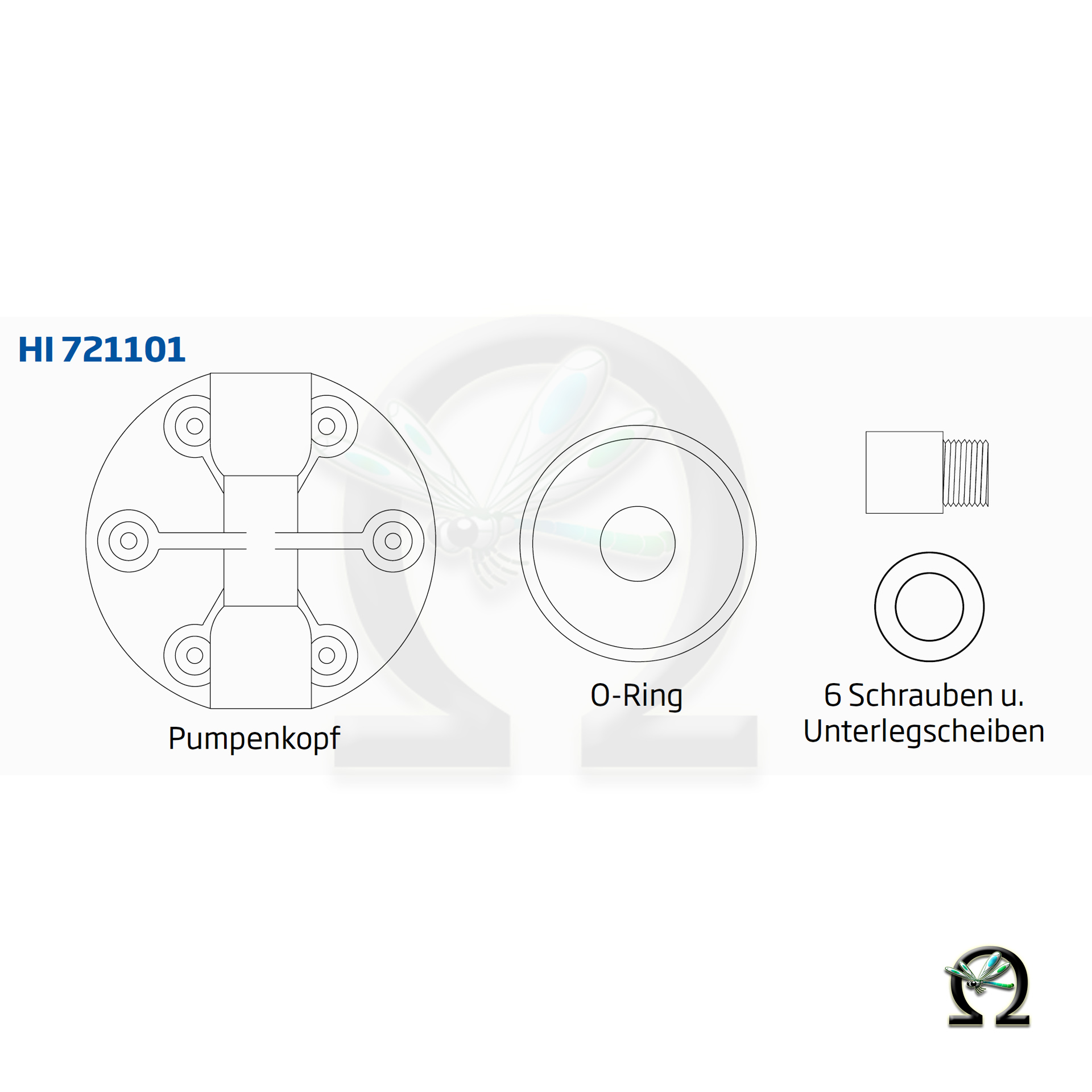 Zeichnung von dem Pumpenkopf Reparatur-Kit HI721101 für BlackStone Dosierpumpen